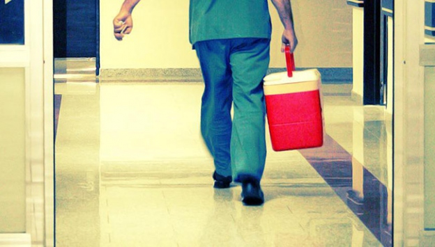 Organ bağışına yönelik kampanyalar meyvesini verdi