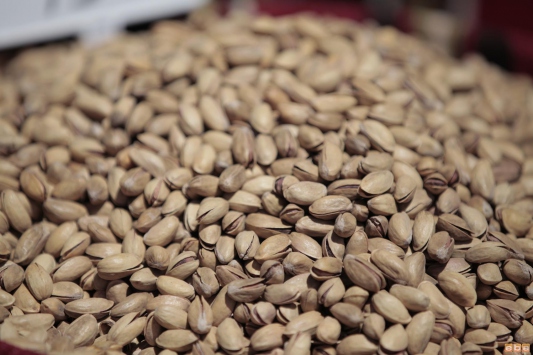 Antep fıstığı altın çağını yaşıyor