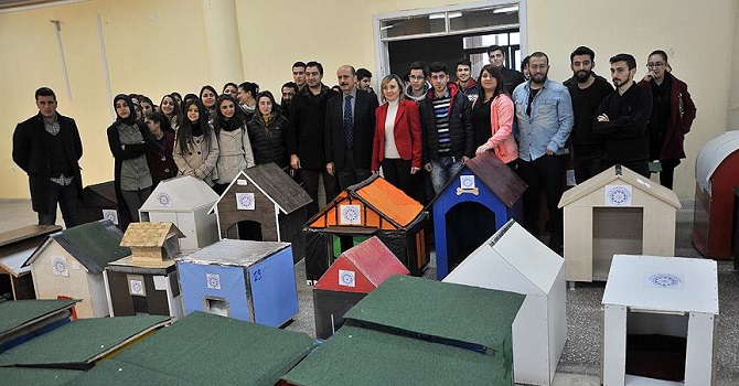 Öğrenciler soğukta kalan sokak hayvanları için kulübe yaptı