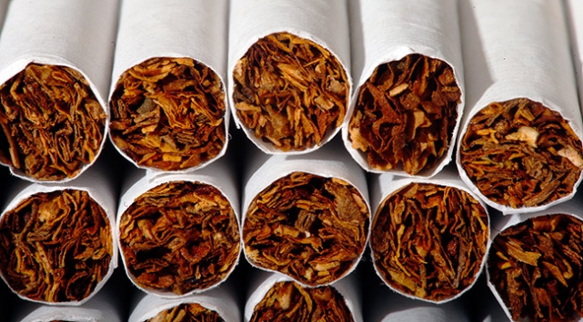 Denizli'den 240,5 milyon liralık tütün üretimi