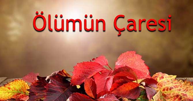 Keşif Yolculukları’nda Ölümün Çaresi semineri