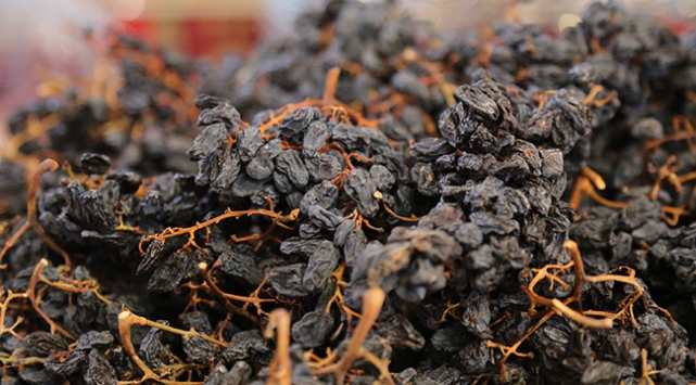 Geçen yıl 412 bin 241 ton kuru meyve ihraç ettik
