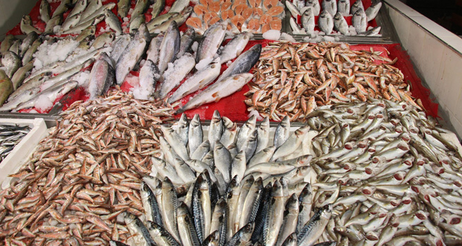 Gürcistan’da Türk balıkçılar hamsi avına başladı