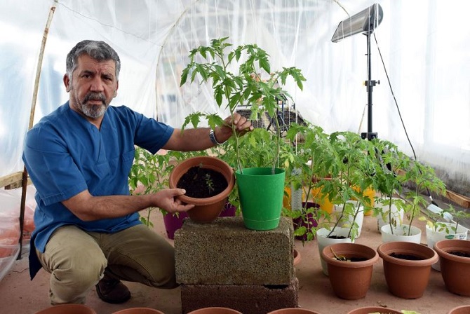 Bu toprak çeşidi, sebzeleri 15 kat daha hızlı büyütecek