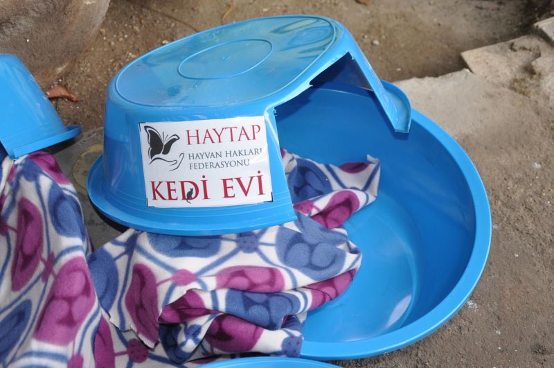 Plastik leğenlerden 'Kedi Evi' yaptılar