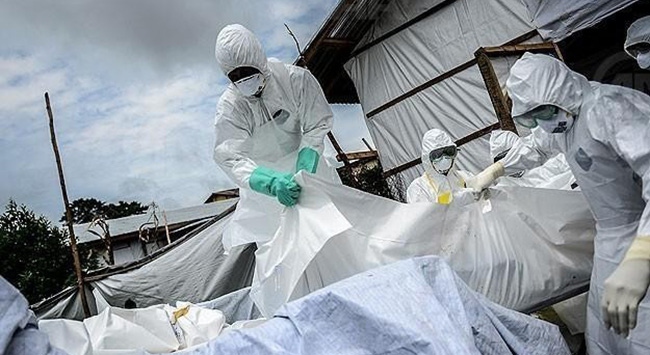 Batı Afrika'daki Ebola salgını sona erdi