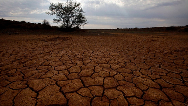 Güney Afrika'da kuraklık çiftçileri zorluyor