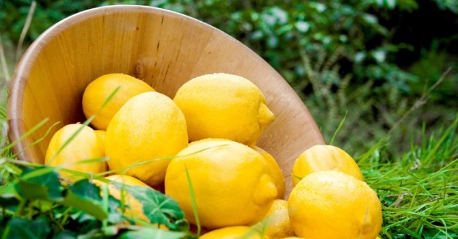 Sebze fiyatları ikiye katlanacak, limon taneyle satılacak