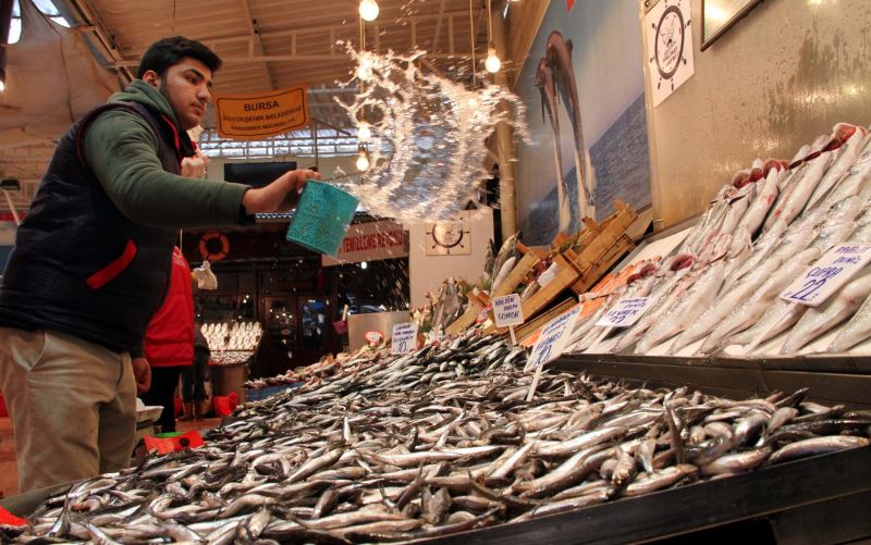 Balıkçının yüzü kar vesilesiyle güldü