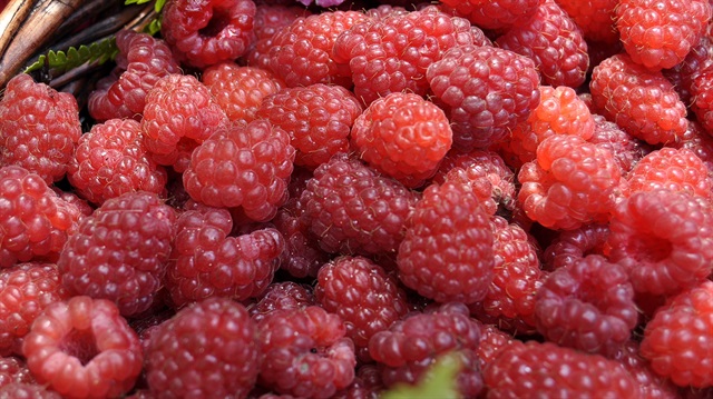 Uyuyamayanlar bu 5 besini yesin