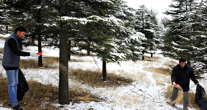 Sokak hayvanları ve kuşlar için doğaya yem bırakıldı
