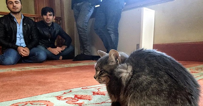 Cami kapıları onlara da açık