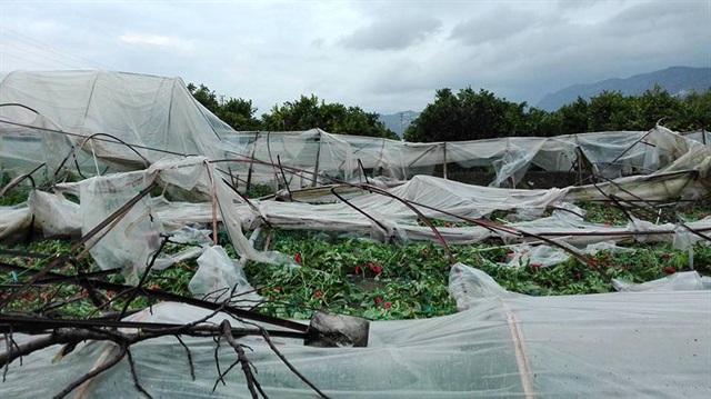 Antalya'lı çiftçilerin zararı karşılanacak