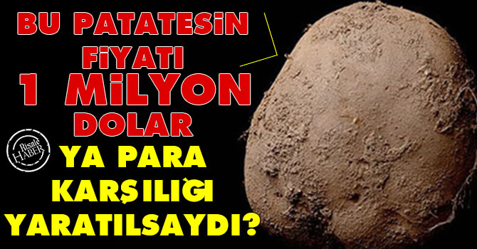 Bu patatesin fiyatı 1 milyon dolar, ya para karşılığı yaratılsaydı?