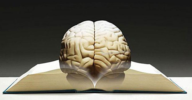 Beyin kışın daha iyi çalışıyor