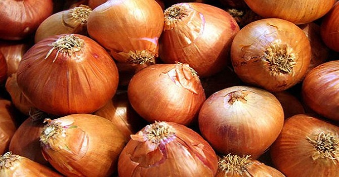 Kurusoğan fiyatları cep yakıyor!