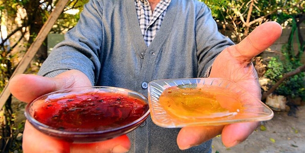 Osmaniye'deki 'kırmızı bal'ın sırrı Arap sümbülü poleni