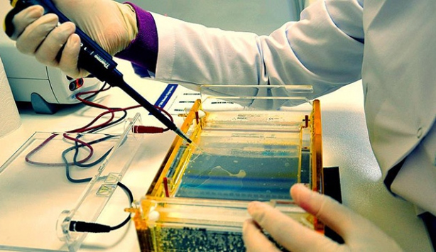 Gıda analizleri hız kesmedi