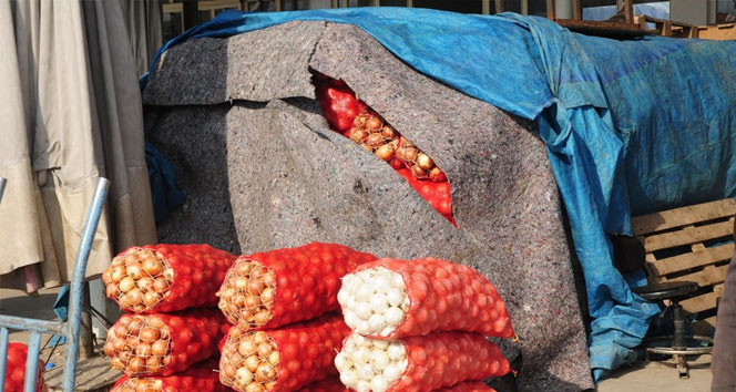 Meyve ve sebzelere battaniyeli koruma