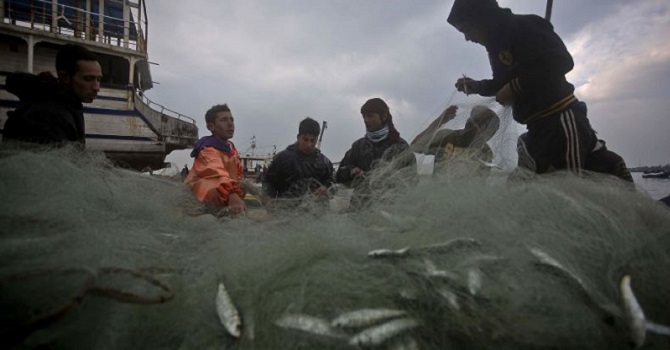 Gazzeli balıkçıların yüzü güldü