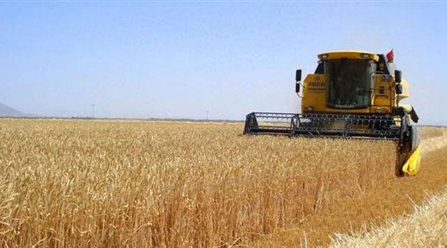 Çiftçiye 581 milyon lira ödeme yapılacak