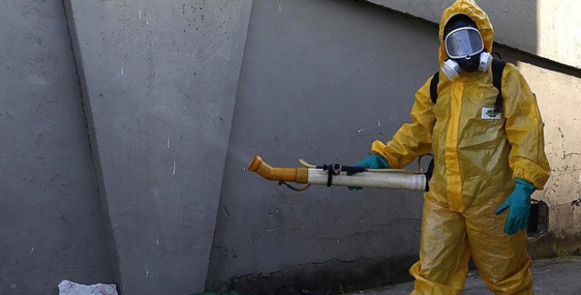 Florida'da Zika virüsü alarmı