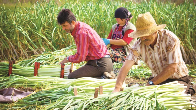 Çiftçilere küçük aile işletme desteği