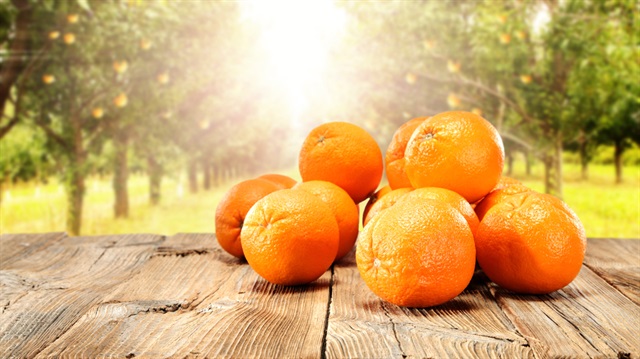 Kışın şifası onda