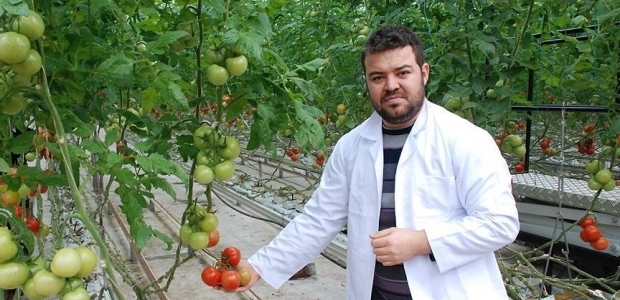 Bilgisayarla sebze üretiyorlar