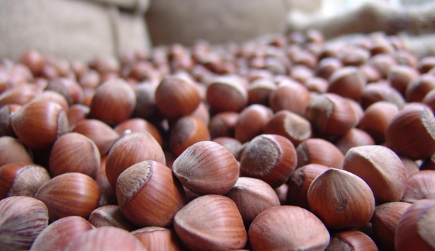 '414 milyon lira fındık üreticilerine ödeme yaptık'