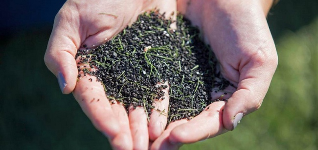 Halı sahalar kansere mi yol açıyor?