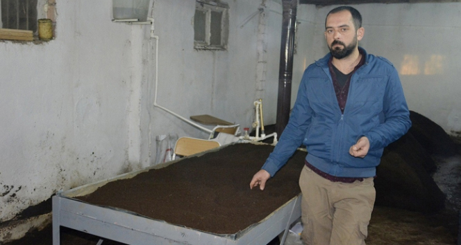 Elinin altında tam 800 bin solucan var