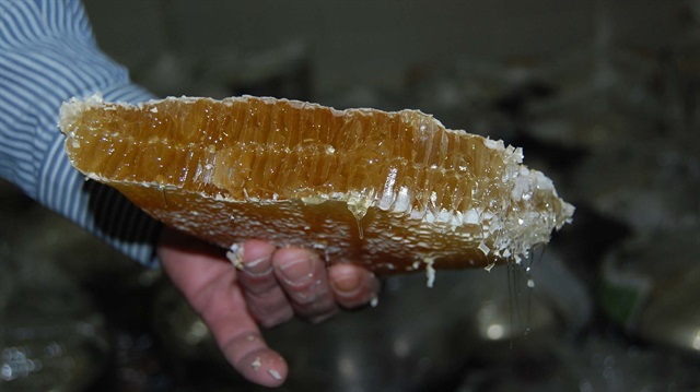 Alo Gıda Hattı'na sahte bal şikayeti yağdı