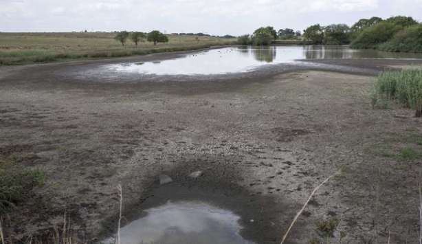 Afrika'da milyonlarca kişi kıtlık riskiyle yaşıyor