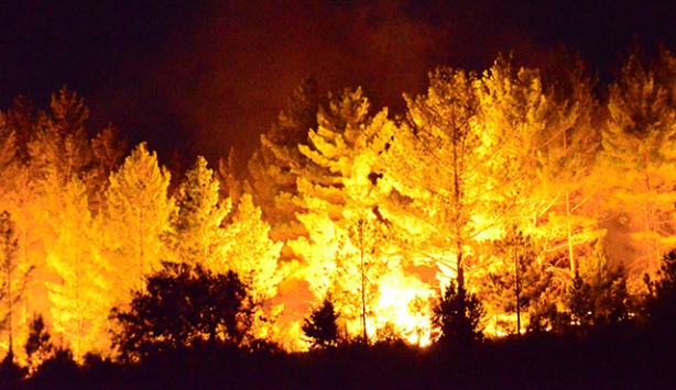 Orman yangınlarıyla mücadelede 27 bin kişiye eğitim