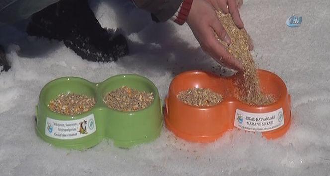 Yaban hayvanlarına yem desteği