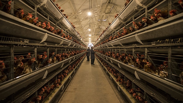 Parmaklıklar arkasındaki ürünlere ilgi büyük