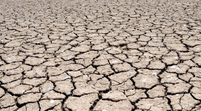 Zimbabve'de kuraklık nedeniyle acil durum ilanı