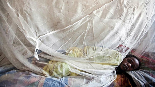 Nijerya'da lassa sıtması 101 ölüme neden oldu