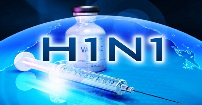 Domuz gribinin belirtilerine dikkat