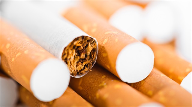 Sigarada kansere yol açan 81 neden var