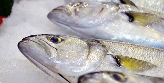 Balık azlığı fiyatları yükseltti