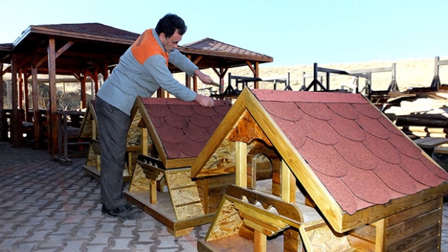 Atık keresteler sokak kedilerine 'ev' oluyor