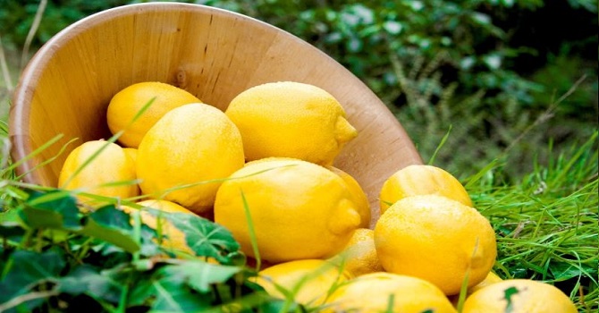 Limon 20 lirayı bulabilir!