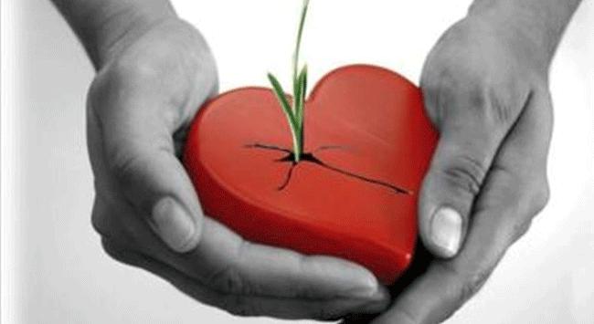 Organları 3 kişiye umut olacak