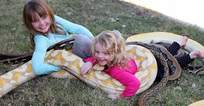 Çocukların 5 metrelik piton yılanı ile tehlikeli oyunu korkuttu