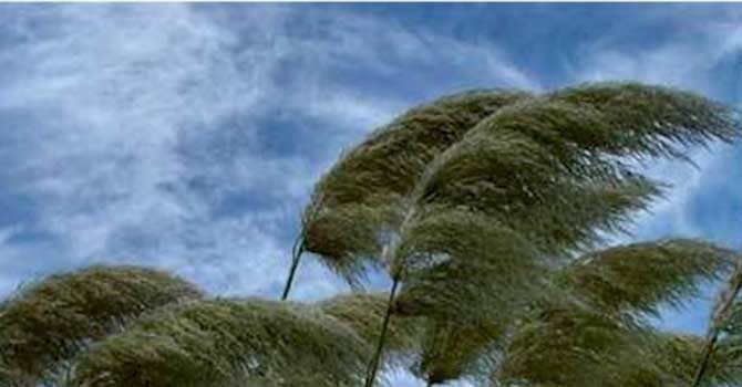 Bursa’da lodos yürümeyi bile zorlaştırıyor