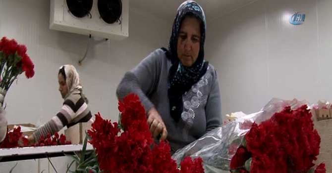 Çiçekçilerin umudu 14 Şubat