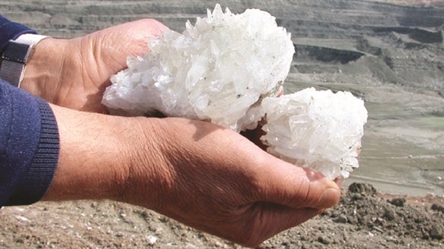 Zihin gelişiminde "bor" mucizesi