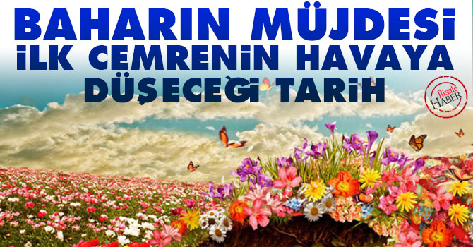 Baharın müjdesi ilk cemrenin havaya düşeceği tarih